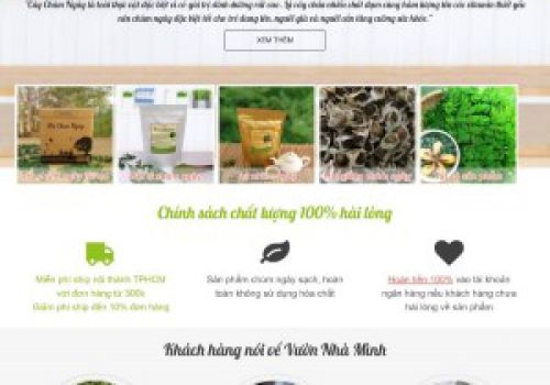 Trang trại chùm ngây Vườn Nhà Mình