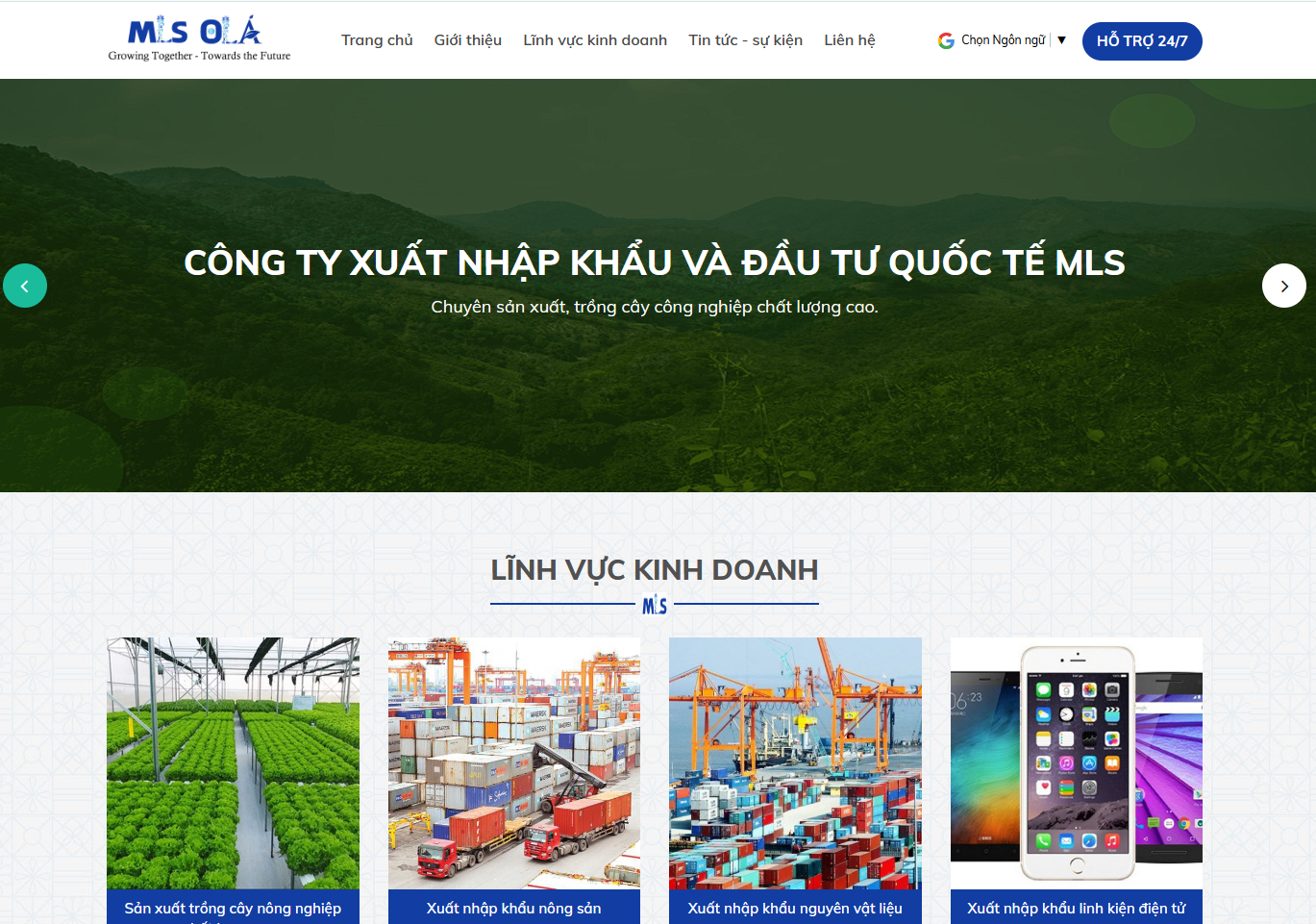 Công ty xuất khẩu MLS